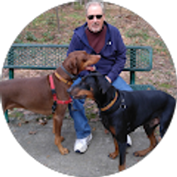 Profile photo of Frank Stickle