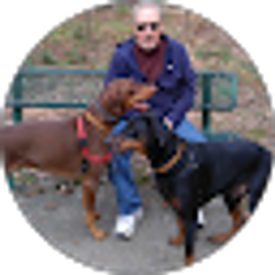 Profile photo of Frank Stickle