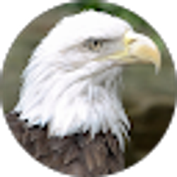 Profile photo of John D