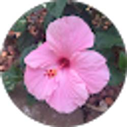 Profile photo of JussaLookin