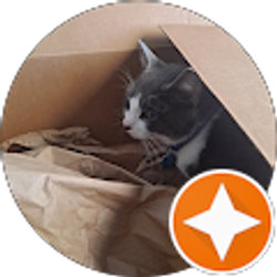 Profile photo of Billie Van Lew