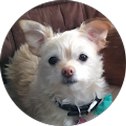 Profile photo of Manda Jiggens