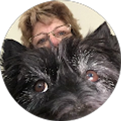 Profile photo of Jeanne Whiteside