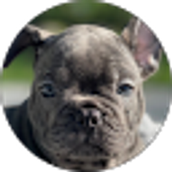 Profile photo of Jon Wall