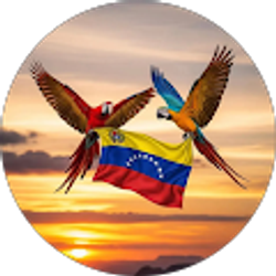 Profile photo of Daniel Morales