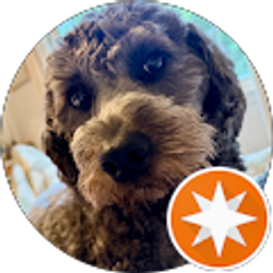 Profile photo of Robin