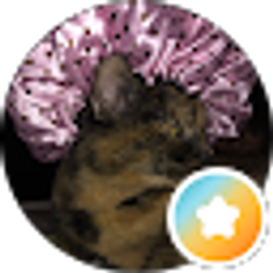 Profile photo of Shelly Potter