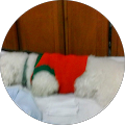 Profile photo of Nelly Ramirez