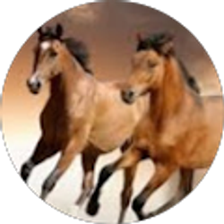 Profile photo of Jennifer Fioretti