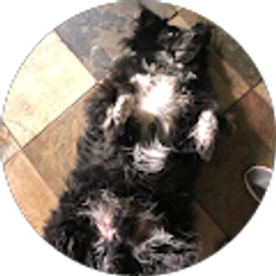 Profile photo of Vicky Joe Christian