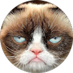 Profile photo of Kathryn Wilson