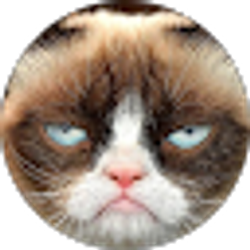 Profile photo of Kathryn Wilson