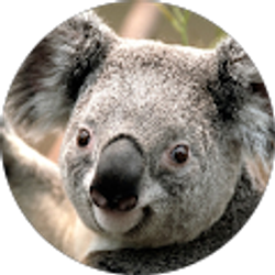 Profile photo of Denise Goins