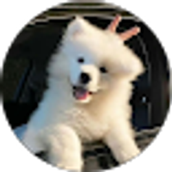 Profile photo of Michael Chen
