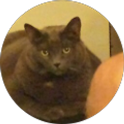 Profile photo of Kati Jaquays