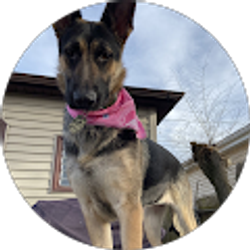 Profile photo of Arlyn Rubio