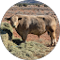 Profile photo of M&J Gross
