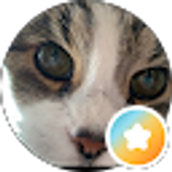 Profile photo of Todd