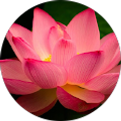 Profile photo of Kaycie Oakley