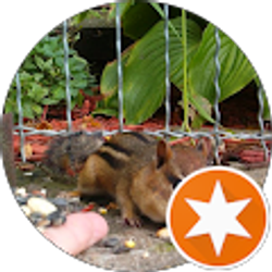 Profile photo of Steve Frandle