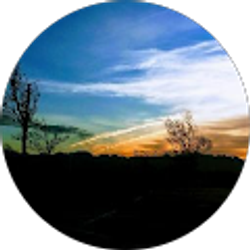 Profile photo of Caitie Naylor