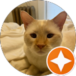 Profile photo of Jen Nemo