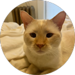 Profile photo of Jen Nemo