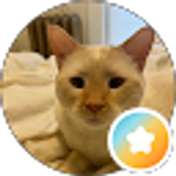 Profile photo of Jen Nemo