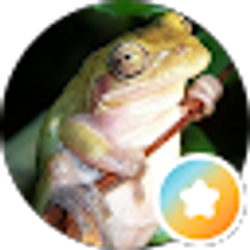 Profile photo of MTB Mikey