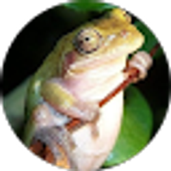 Profile photo of MTB Mikey