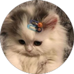 Profile photo of Alissa Flores