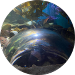 Profile photo of Emily !!