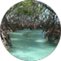 Profile photo of Christine