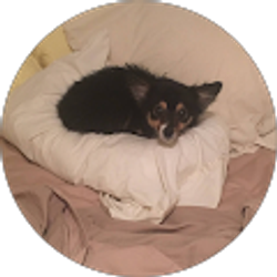 Profile photo of Pamela Ramsey