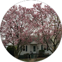 Profile photo of citlalli ponce