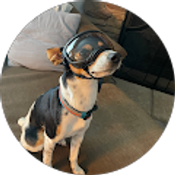 Profile photo of Kelly Mann