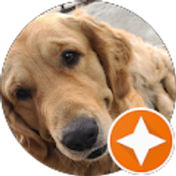 Profile photo of Andrea Andrade