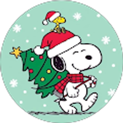 Profile photo of Nicolás Morales