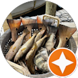 Profile photo of Rick Parsons