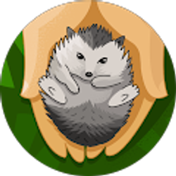 Profile photo of Nompumelelo Dube