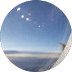 Profile photo of Donald Duck