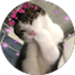 Profile photo of Aubrey Gray