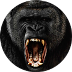 Profile photo of Miguel Carrasco