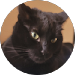 Profile photo of Evren Bly
