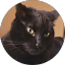 Profile photo of Evren Bly