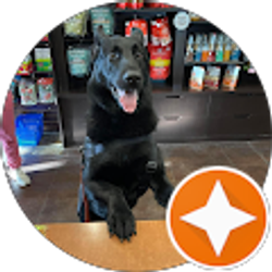 Profile photo of Rvn Vetante