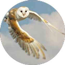 Profile photo of Rita Reynolds