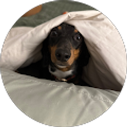 Profile photo of Lauryn