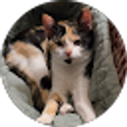 Profile photo of Judy Roberts