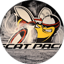 Profile photo of Lou Calabrese